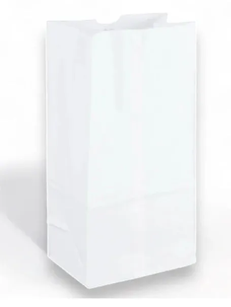 20LB WHITE DURO PAPER BAG 500CT