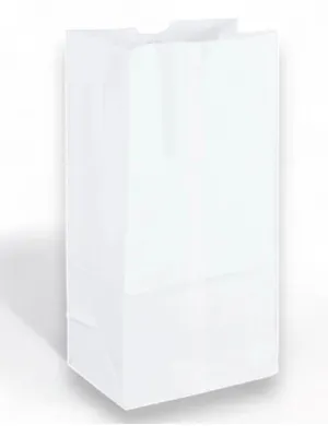 20LB WHITE DURO PAPER BAG 500CT