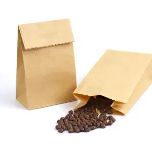30 x 15.5 x 10cm X-Large Brown Kraft Paper Bags