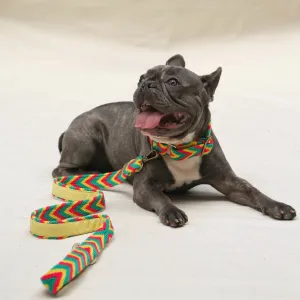 Amarillo Leash
