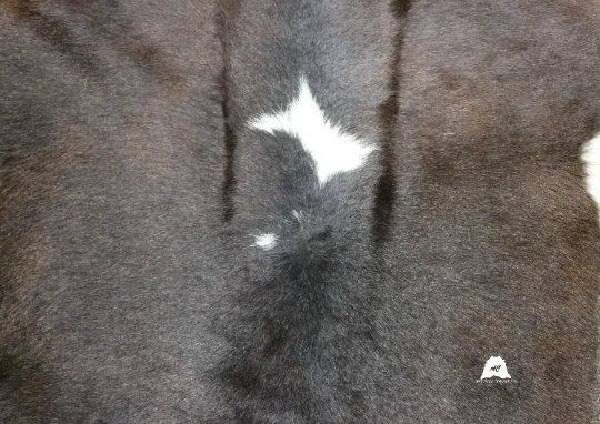 Dark Brown & White  Calfskin Rug Size 3ft x 3ft - Premium Quality Cowhide Rug