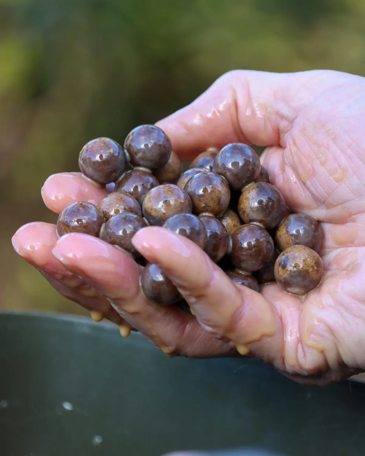 DNA Baits AMINO SMOKE – THE BUG