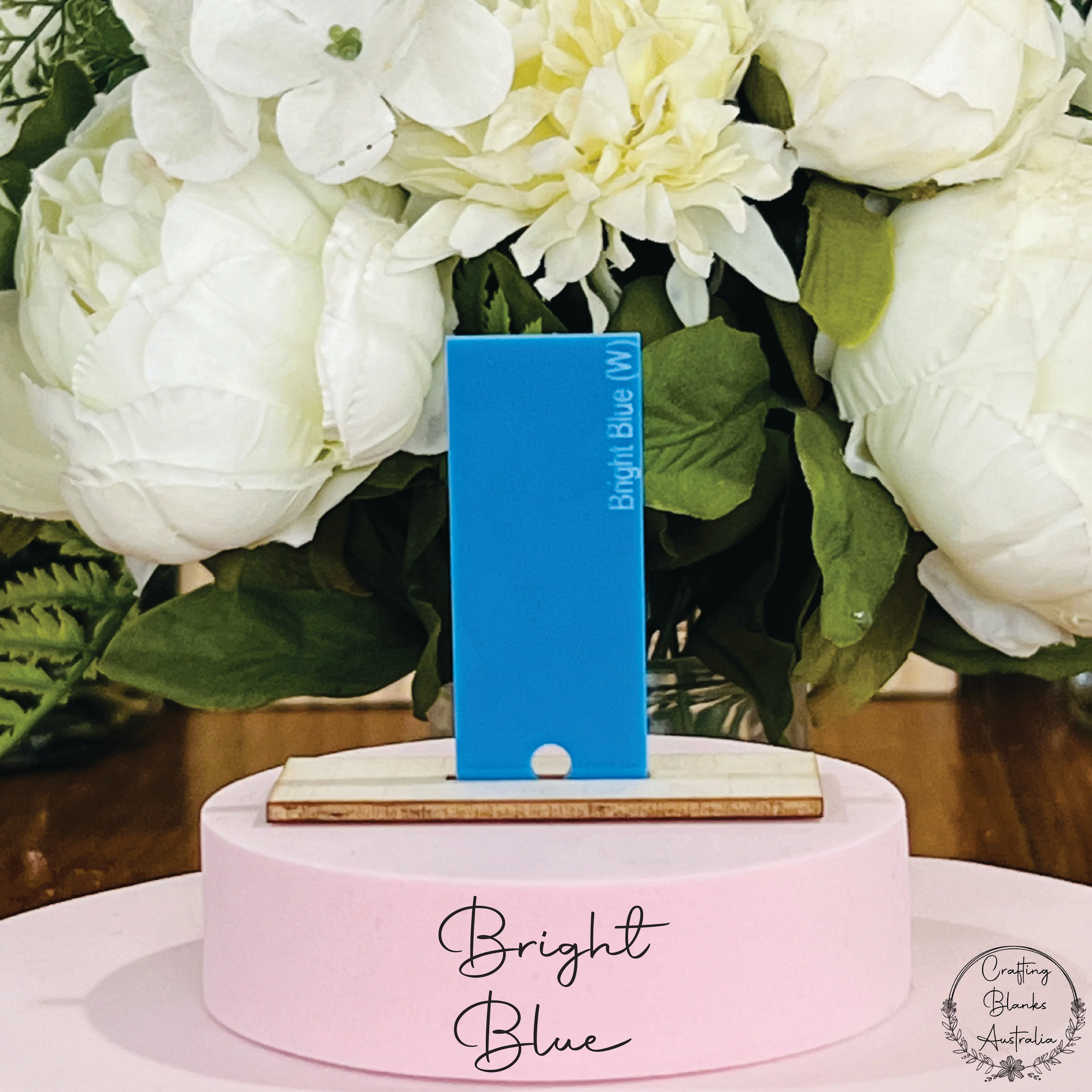 Easter Bunny • Mini Egg Holder • Blank Tag