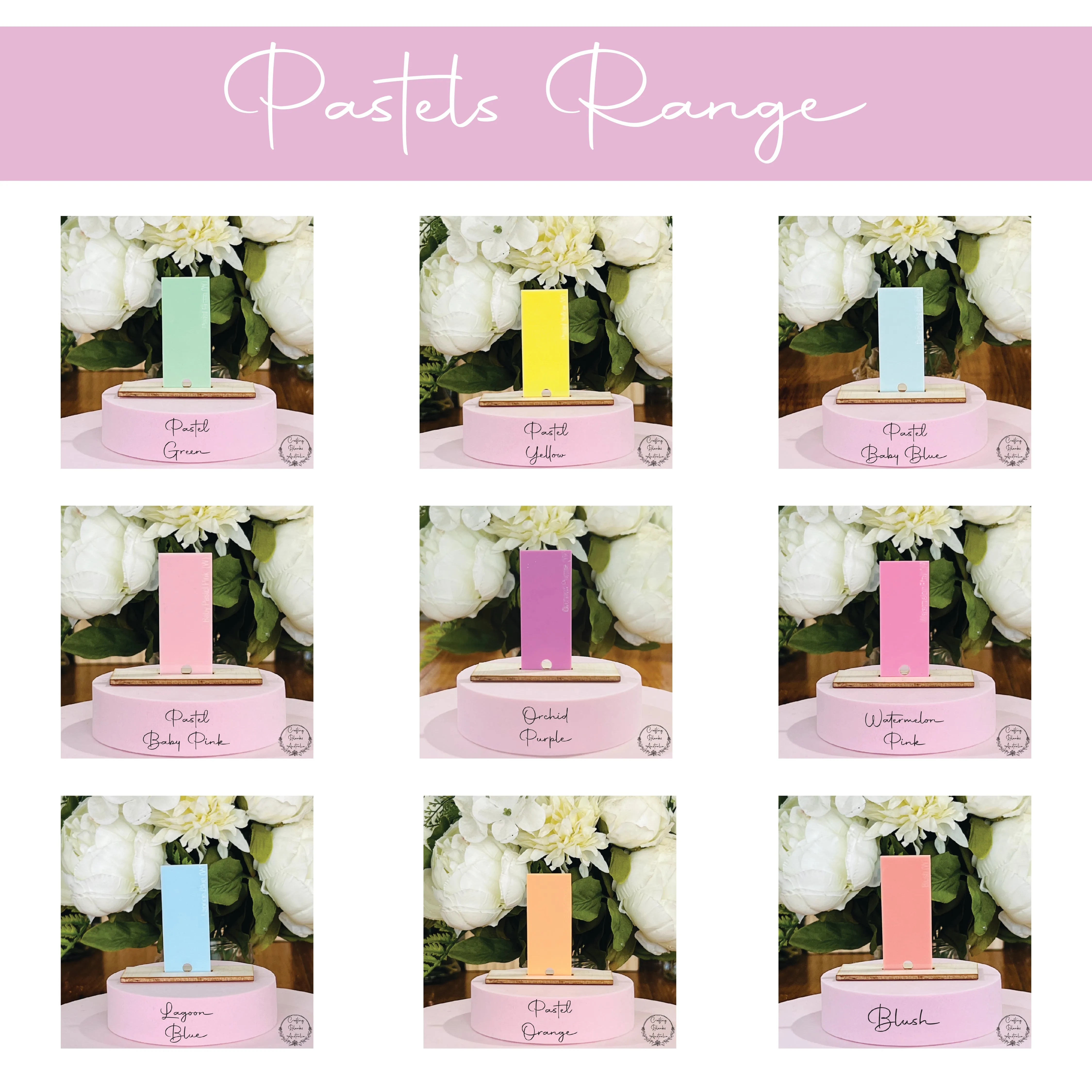 Easter Bunny • Mini Egg Holder • Blank Tag