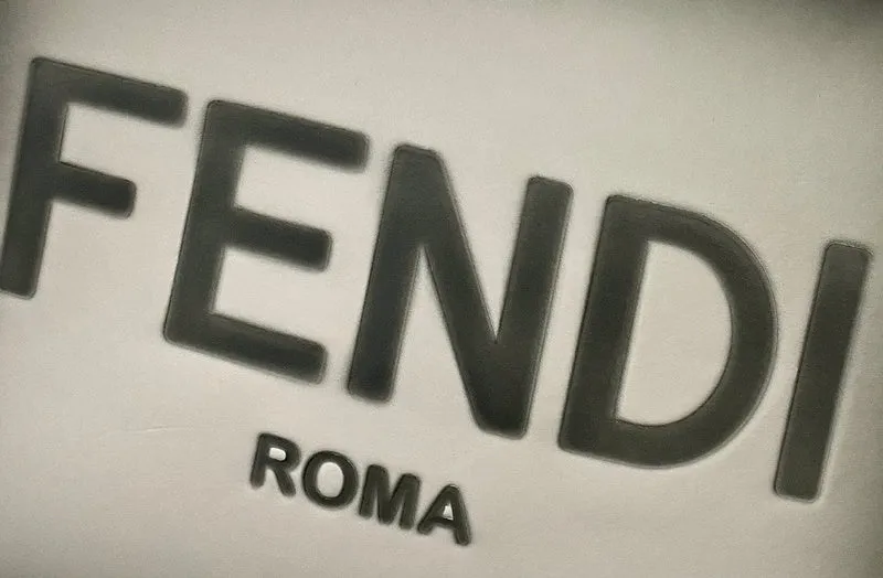 Fendi Luxury Fashion Bag