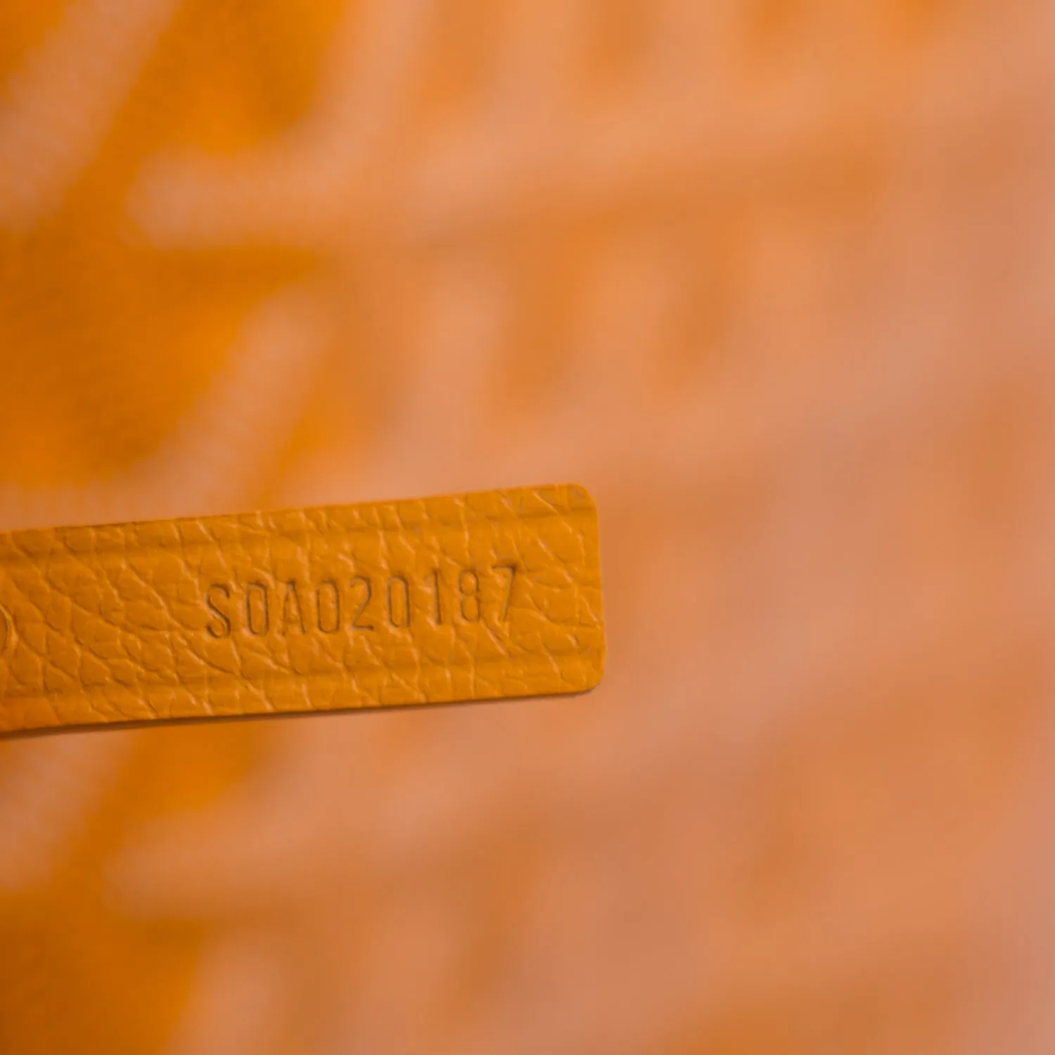 Goyard Saint Louis PM Tote Bag