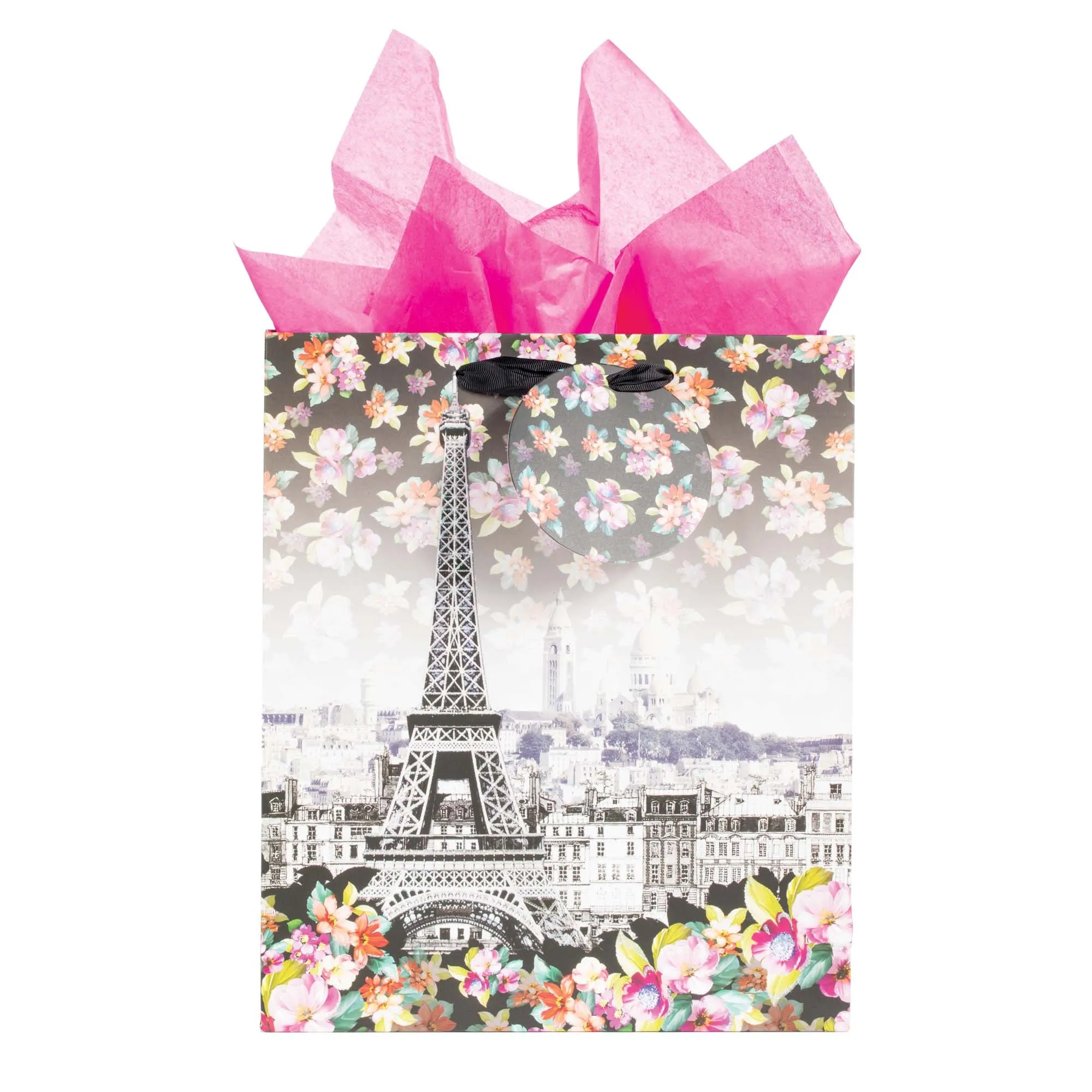 Icoloris Grande (Large) Meet Me In Paris Printed On Iridescent Paper Gift Bag, 1 Design