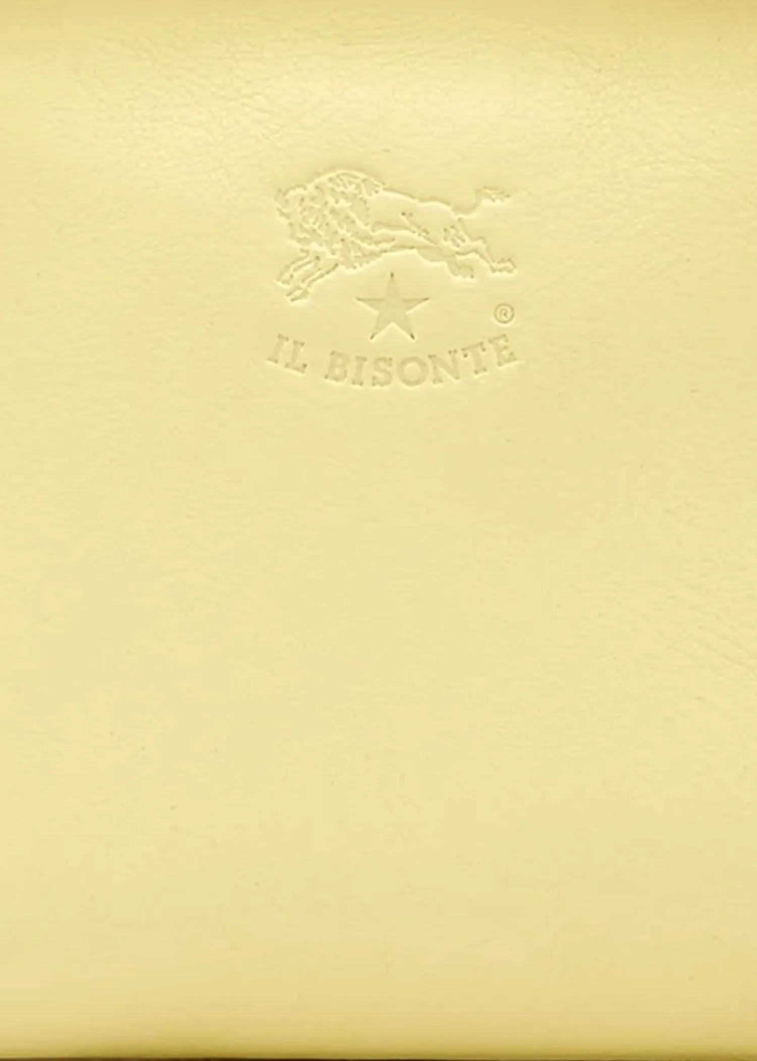 Il Bisonte Envelope Case