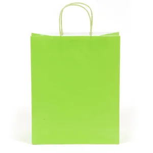 Large Lime Green Gift Bag (Color Savvy)