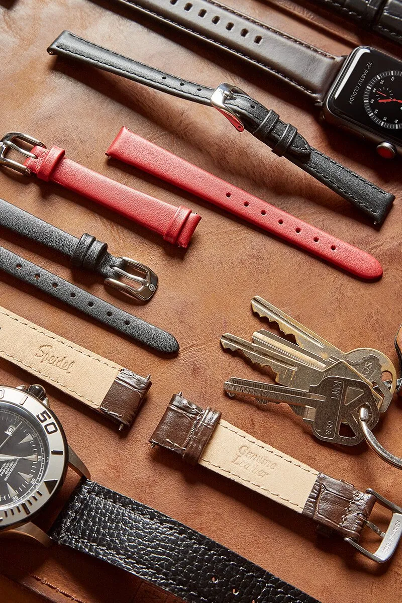 Mens Indiano Watchband in Black and Brown