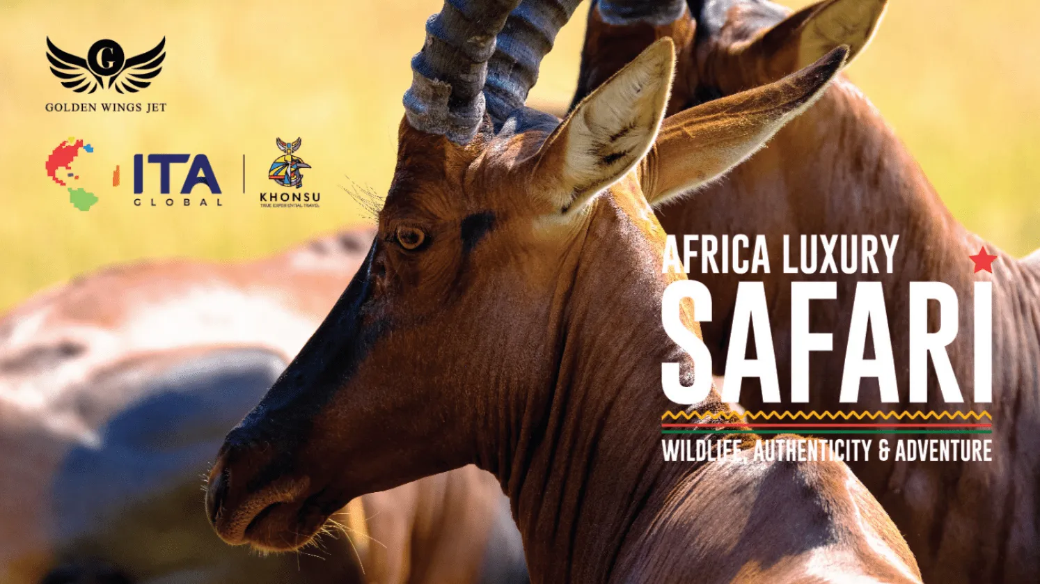 South Africa Luxury Safari Vacation