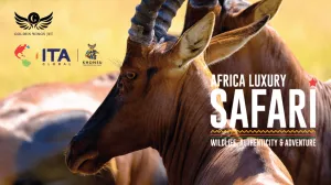 South Africa Luxury Safari Vacation