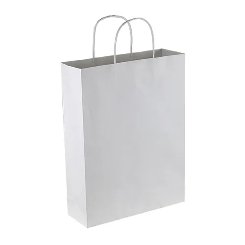 Stock Kraft Paper Trade Show Bag(SKP-02D)