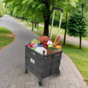 Zippies Clever Spaces Foldable Trolley Cart